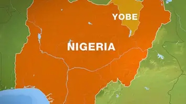Diphtheria: Nigerian govt confirms 117 deaths, 1,796 cases in Yobe