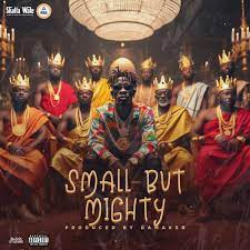 Shatta Wale – Small But Mighty (MP3 Download)