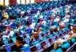 Benue, Zamfara Bleed: canvas of the emergency rule