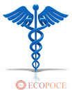 AMACHARA’s questions for the school of nursing care