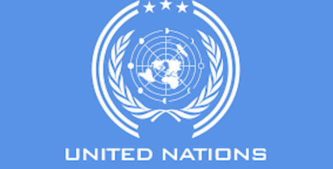 Bahrain, Colombia, 3 others were elected as the UN Security Council