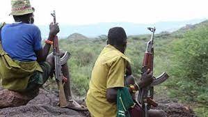 Bassa: Fresh Attack says that 3 members of the Vite family in the LGA plateau