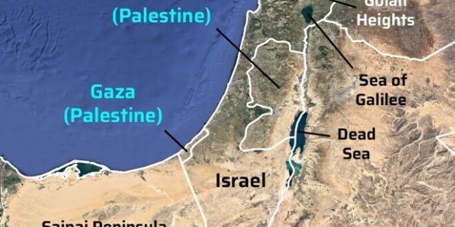 Death Toll Journalists in Gaza rose to 225