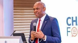 Elumelu brands the financial institutions “for the private sector in Africa