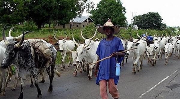 Fulani’s leader urged the reopening of the Nomadic School to curb the conflict