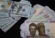 Naira spilled N0.51 against the dollar in the official window