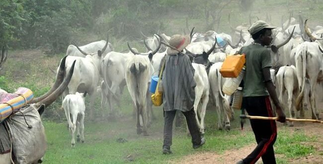 Police accuse 11 shepherds for alleged terrorism in the benue