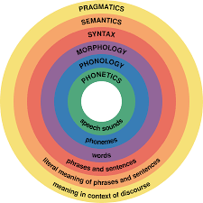 Requirements for studying linguistics in unique