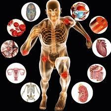 Requirements for studying physiology in Uniuyo