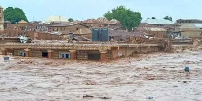 Seven Bodies found in Niger Floods
