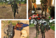 The troops destroy the fields of bandits, recovered ammunition in the south of Taraba