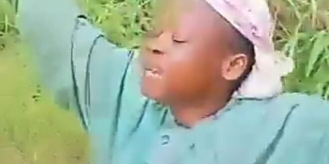 Women cried when Herdmen cows destroyed their agriculture in IMO (video)