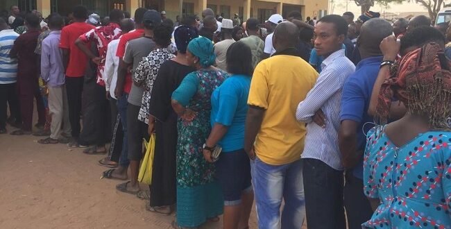 ADC Candidate in 20 LGA for the Election of the Lagos Council