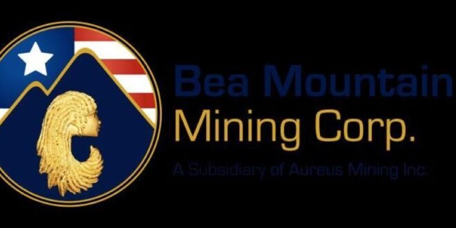 Bea Mountain dragged to court. 