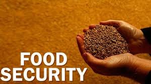 Former Ikechukwu minister Tinubu scores at the top of food safety initiatives