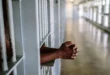149 dead in Maiduguri military detention center in five months – Amnesty