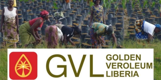 RSPO closes GVL complaint – Liberia news The New Dawn Liberia, premier resource for latest news