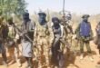 Security Agent Killing 30 Alleged Bandits in Katsina