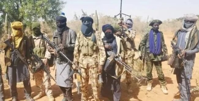 Security Agent Killing 30 Alleged Bandits in Katsina