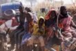 Sudan: War crimes and crimes against humanity that occurred, the International Criminal Court believes | World News