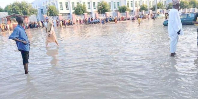 The strong rains destroy eight buildings in Borno