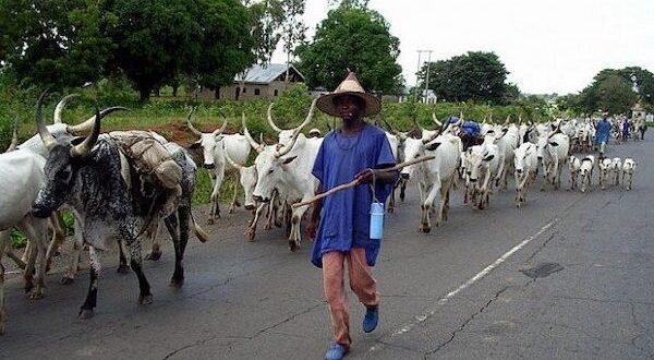 Alleged Shepherd Killing 3 in the Benue Community