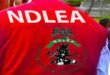 Ndlea Nabs Grandfather 75 years old because of dealing with drugs, destroying marijuana agriculture in Taraba