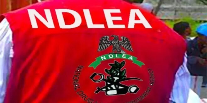 Ndlea took 104,900 tramadol capsules allegedly intended for rebels