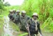 The troops thwarted terror attacks, saving victims in Kebbi, highlands, 4 others
