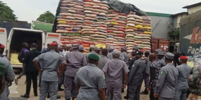 Customs won the N1BN valuable goods in three months, increasing alarm over the smuggling of wildlife, reducing the Port of Calabar