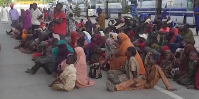 FG evacuates 522 stranded Nigerians from Niger