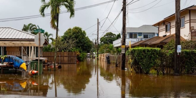 Hawaii suffers worst flooding in 20 years as residents told to ‘LEAVE NOW’ | US News