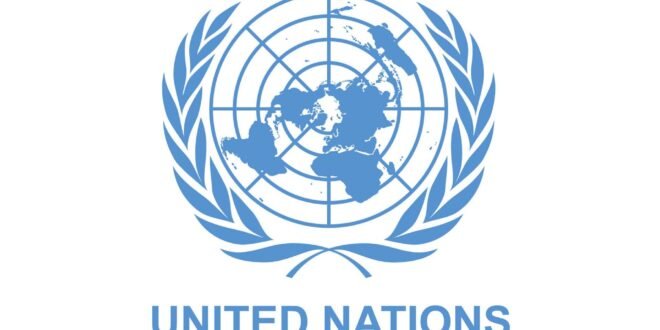 IWD 2026: ‘UN Women’ warns for Nigeria’s democracy