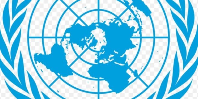 Lions and the United Nations strengthen partnership to advance…