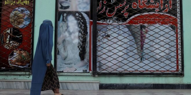 ‘My hands tremble, my body is cold’: Afghan women and girls ‘forgotten’ under Taliban rule | World News