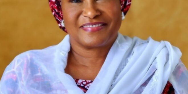 Senator Kingibe raises the alarm on one-party drift…