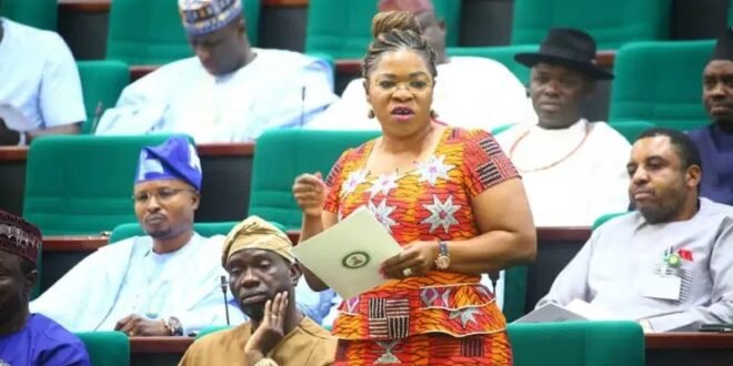 The daughter of ADC national chairman, David Mark, is leading Tinubu’s re-election campaign group