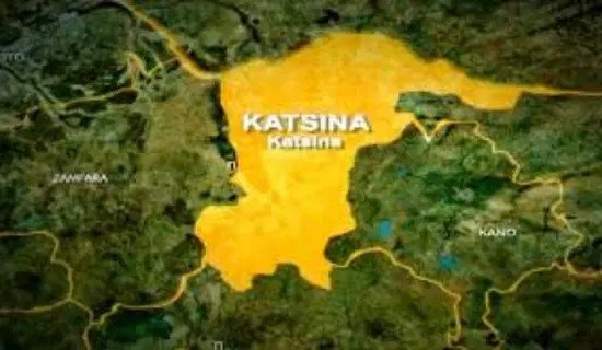 Woman arrested for stealing goods worth N10 million in Katsina