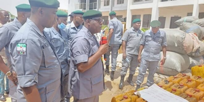 Adamawa: Customs seizes dried donkey meat and other contraband