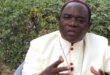 Catholic diocese denies reports of attack on Kukah residence – THIS INFORMATION