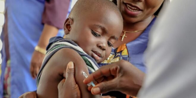 FG spends $150 million per year on vaccines as donor support declines – NPHCDA