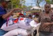 More than half of Haitians continue to face a food crisis