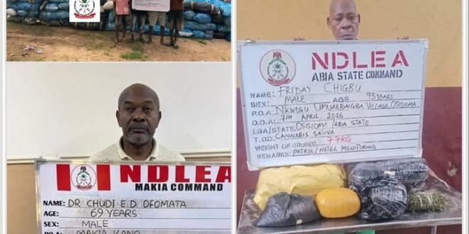 NDLEA captured nonagenarian, doctor, couple, others subjected to massive crackdown