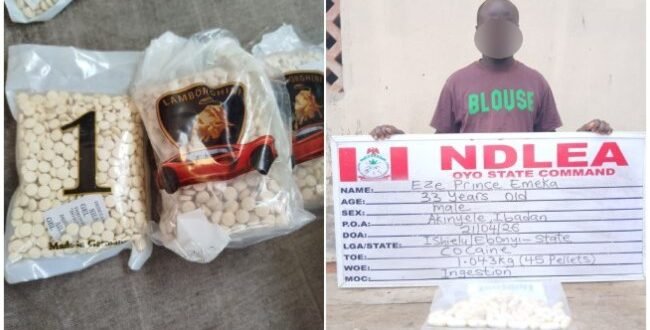 NDLEA seizes captagon of ‘terrorist drug’ in Kwara, suspect expels 45 cocaine pellets in Oyo