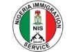 NIS rejects passport used in UK property dispute involving Useni…
