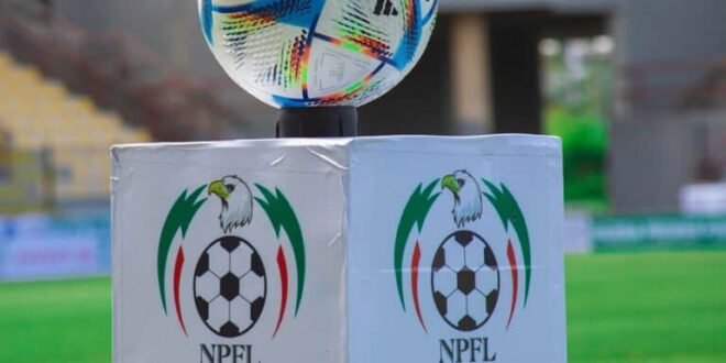 NPFL change: Privately owned clubs lead promotion charge