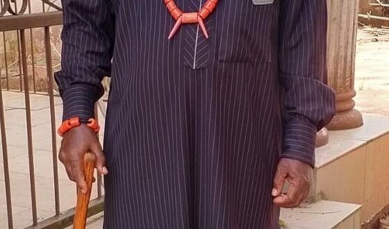 Ndi Ezeji Mbaise Council gets new President General