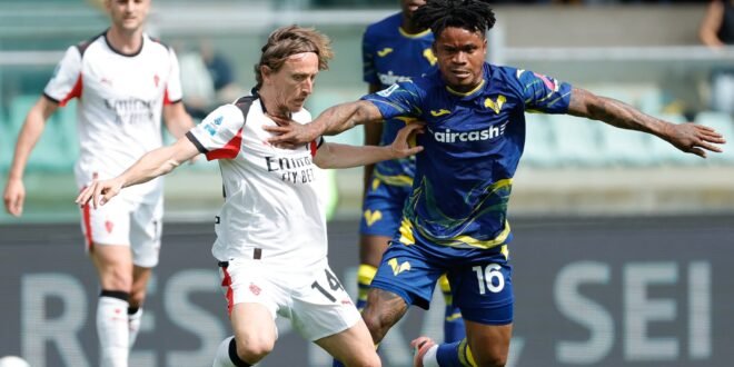 Orban will return to Hoffenheim after a loan