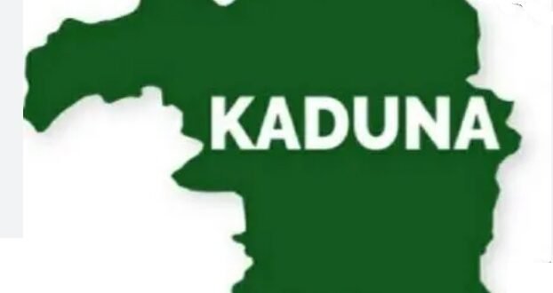 Shettima insists on running for Kaduna Central Senate and rejects claims of “anointed candidate”.