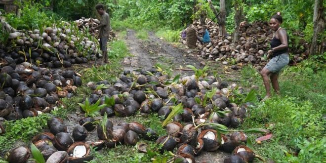 South Pacific islanders are working to save their home from a toxic legacy